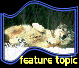 Look, I'm not as bad as you may think.